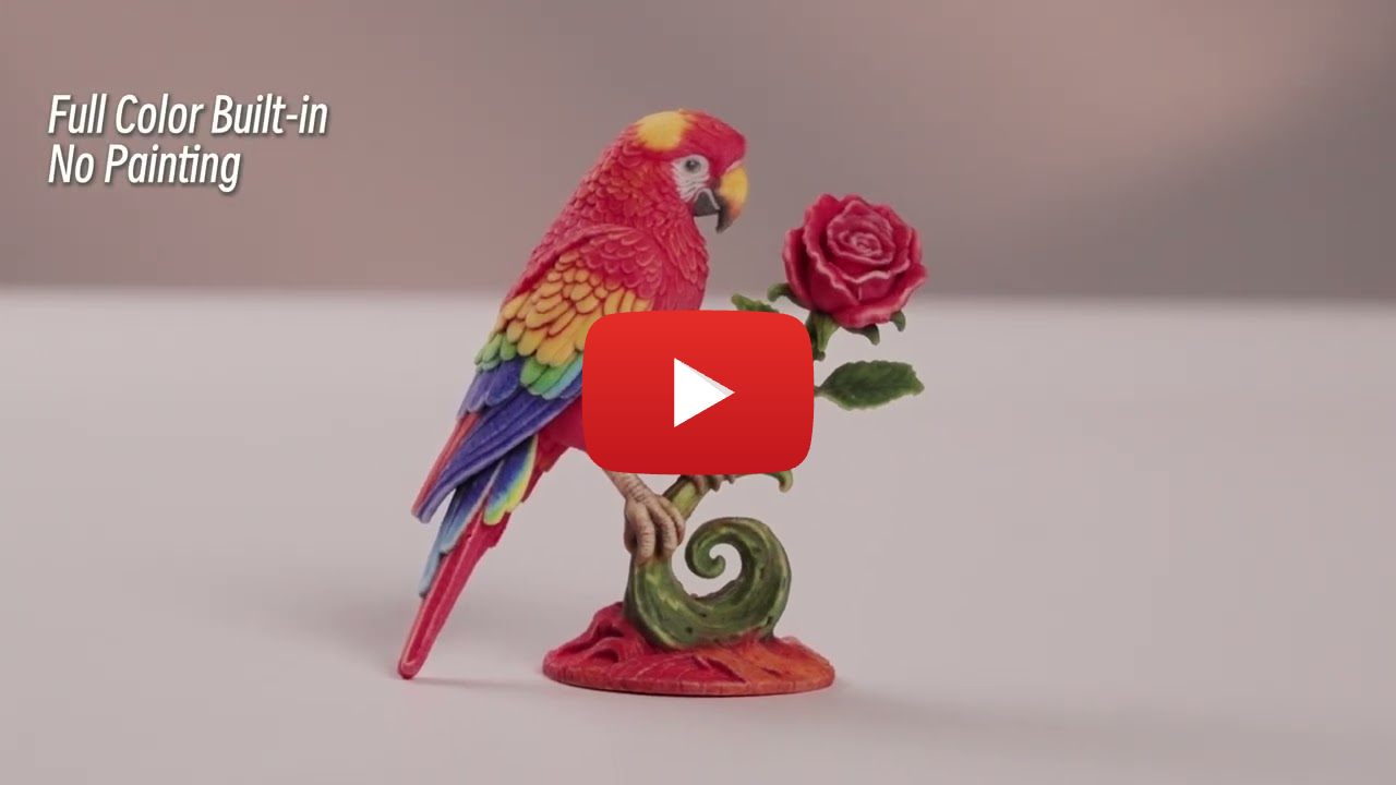 3D